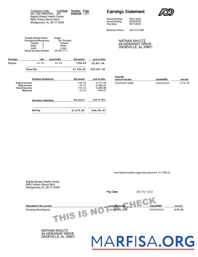 Downloadable ADP Earnings Statement real example
